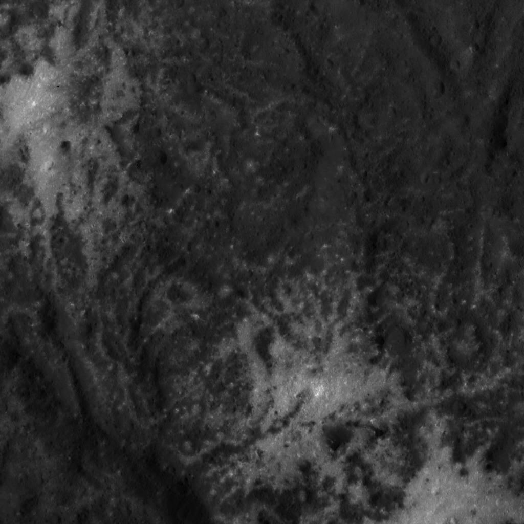 Vinalia Faculae (факулы Виналий) - группа пятен восточнее центра кратера