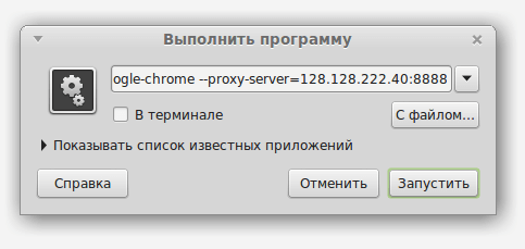 chrome proxy params