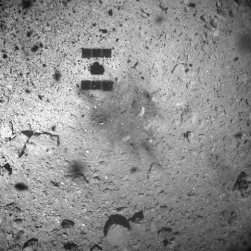 Figure 1: Image captured near the touchdown site immediately after touchdown. The photograph was taken with the Optical Navigation Camera – Wide angle (ONC-W1) on February 22, 2019 at an onboard time of around 07:30 JST. (Image credit ※： JAXA, University of Tokyo, Kochi University, Rikkyo University, Nagoya University, Chiba Institute of Technology, Meiji University, University of Aizu, AIST.)