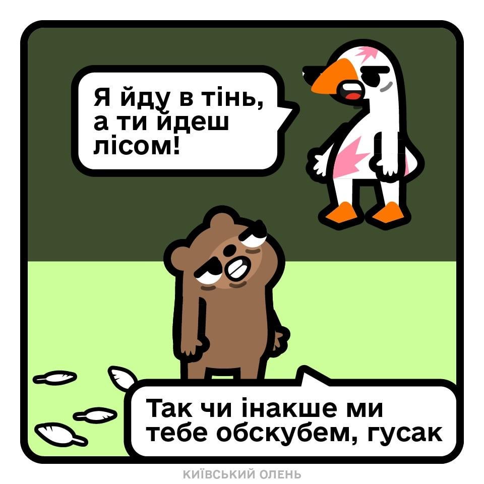 v0 pifnqmh5yjmd1