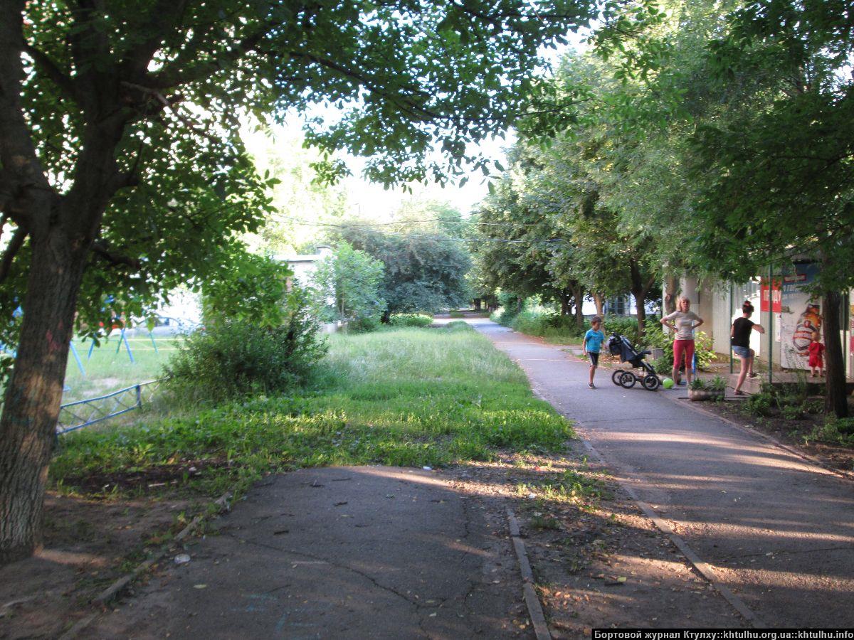 Зеленые Желтые Воды. Заросли в городе