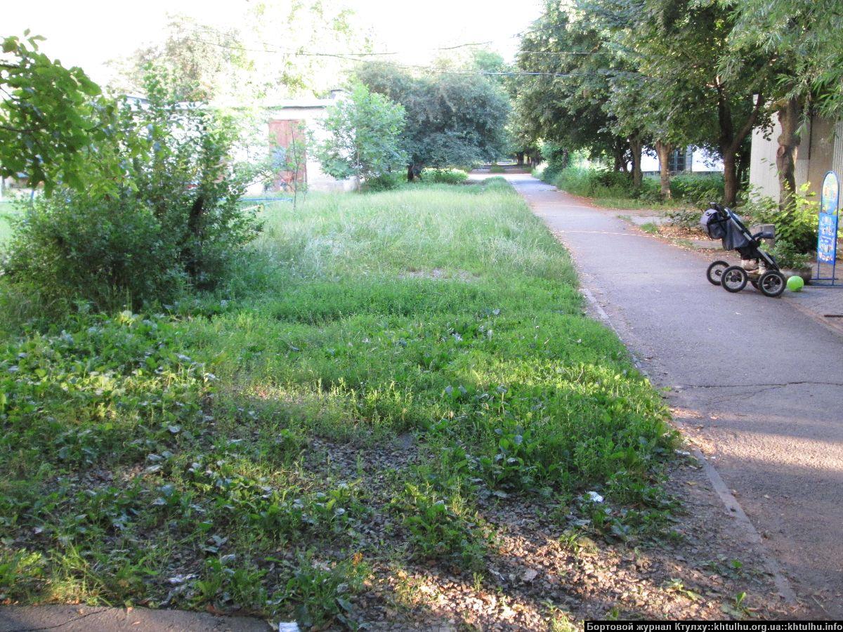 Зеленые Желтые Воды. Заросли в городе