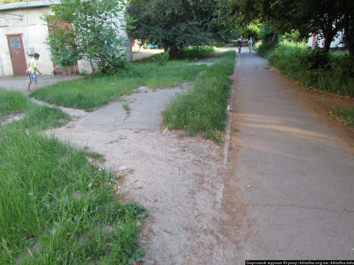 Зеленые Желтые Воды. Заросли в городе