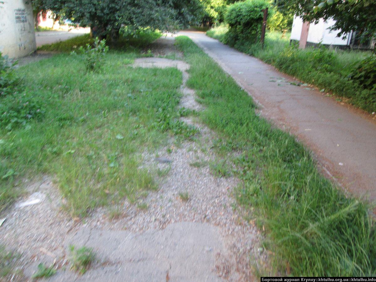 Зеленые Желтые Воды. Заросли в городе