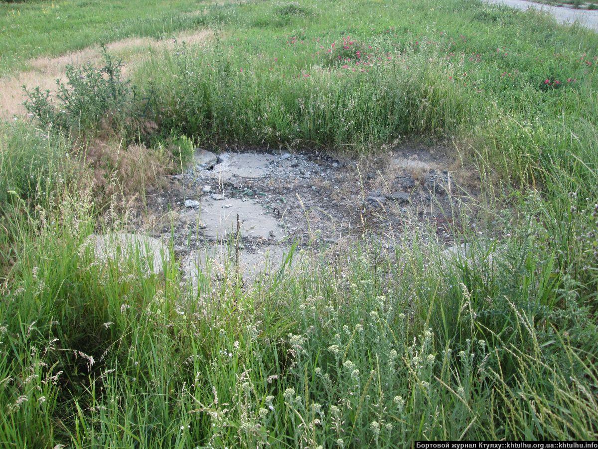 Зеленые Желтые Воды. Заросли в городе