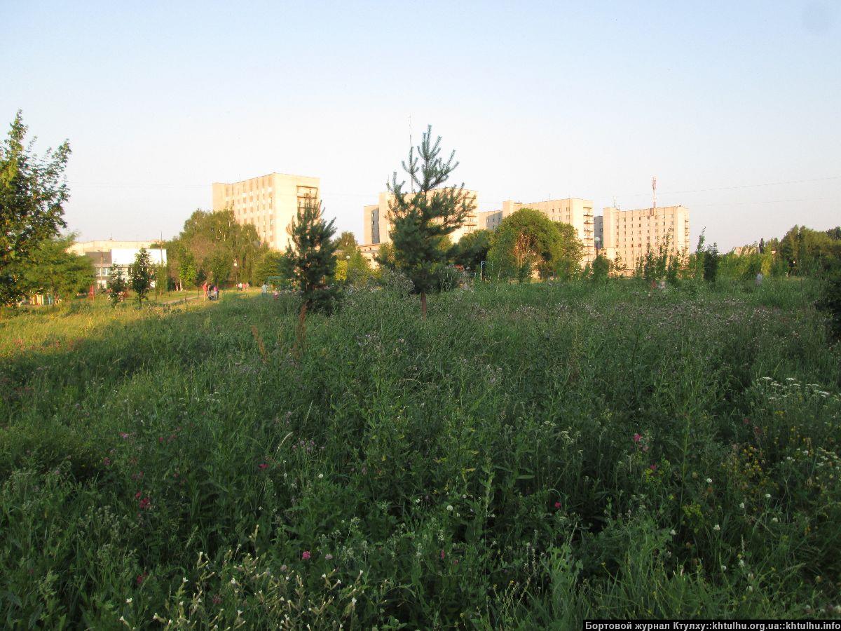 Зеленые Желтые Воды. Заросли в городе