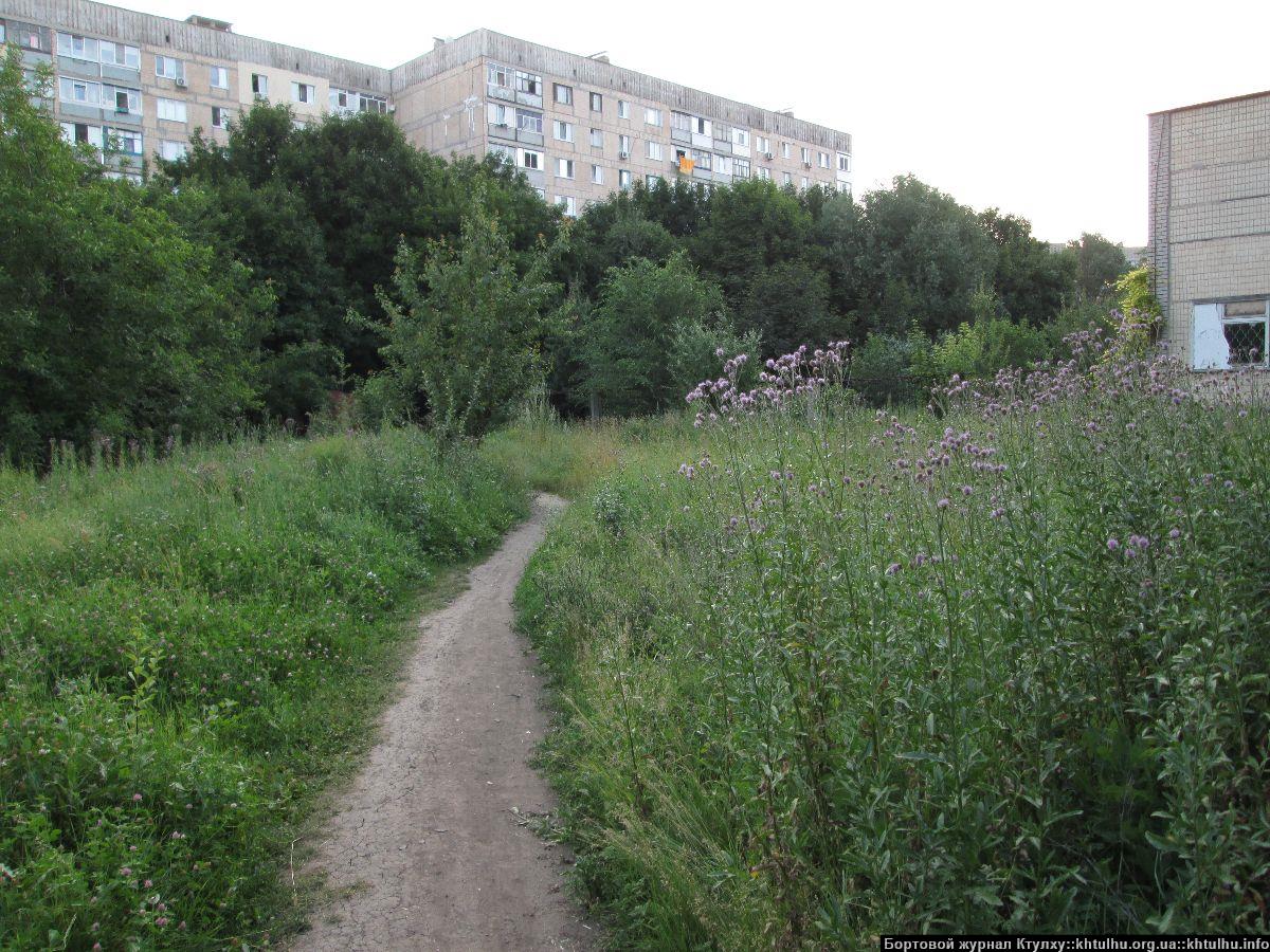 Зеленые Желтые Воды. Заросли в городе