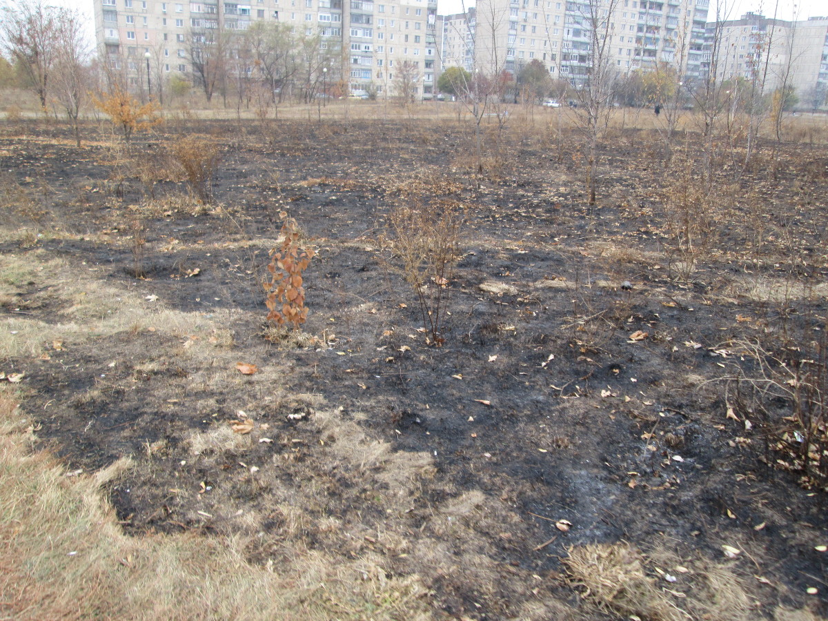 Желтые Воды жгут траву