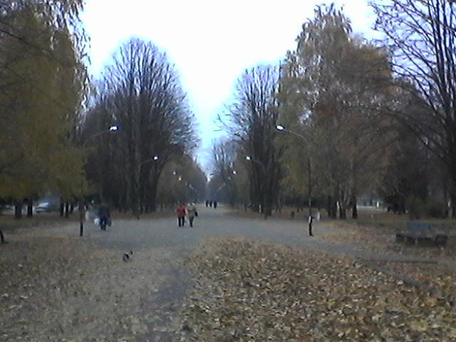 освещение бульвара Петровского