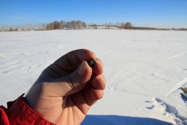 Chebarkul meteorite sample