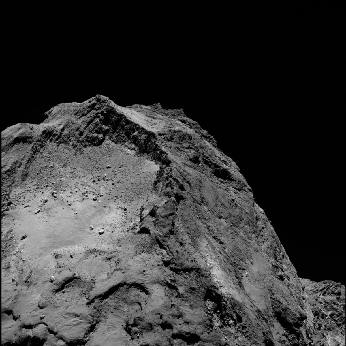 Comet on 13 February 2016 OSIRIS narrow angle camera 1