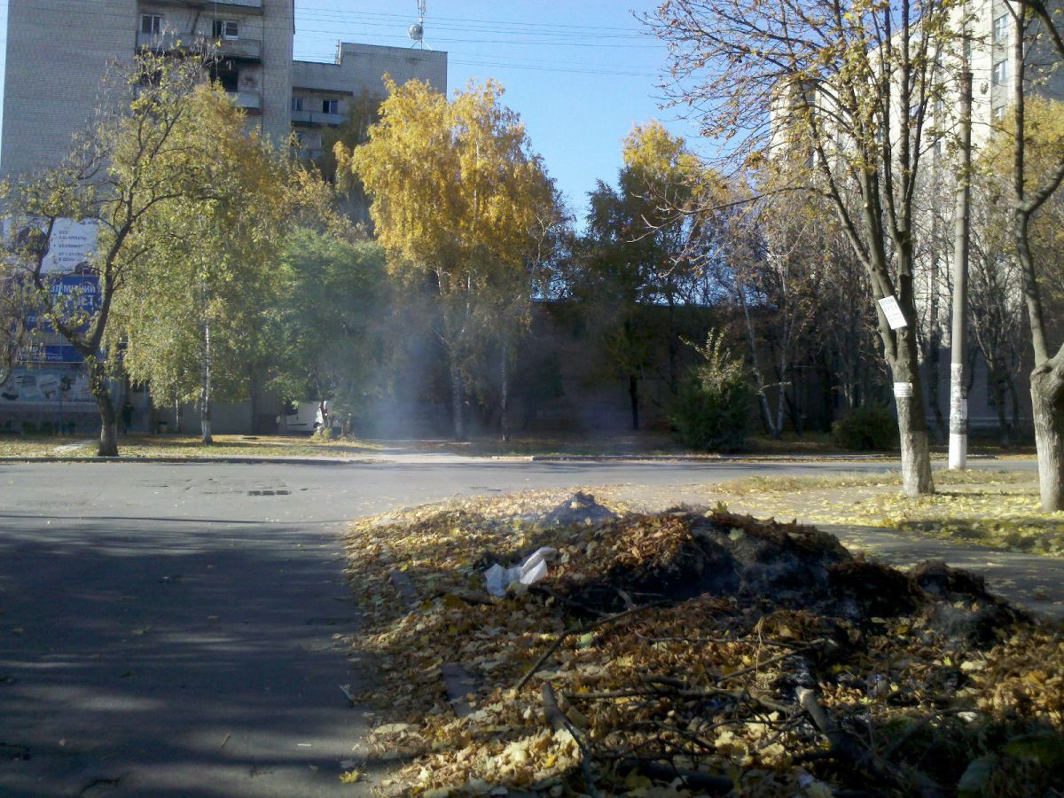 На куті Кропоткіна і 50 Років вже десь біля тижня тліє купа листя